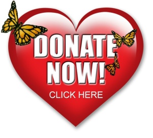 heart-donation-button